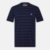 Strip Crew Neck Regular Fit T-Shirt
