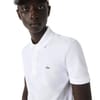 Regular Fit Short Sleeve Polo Shirt
