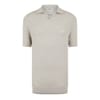 Knit Regular Fit Polo Shirt