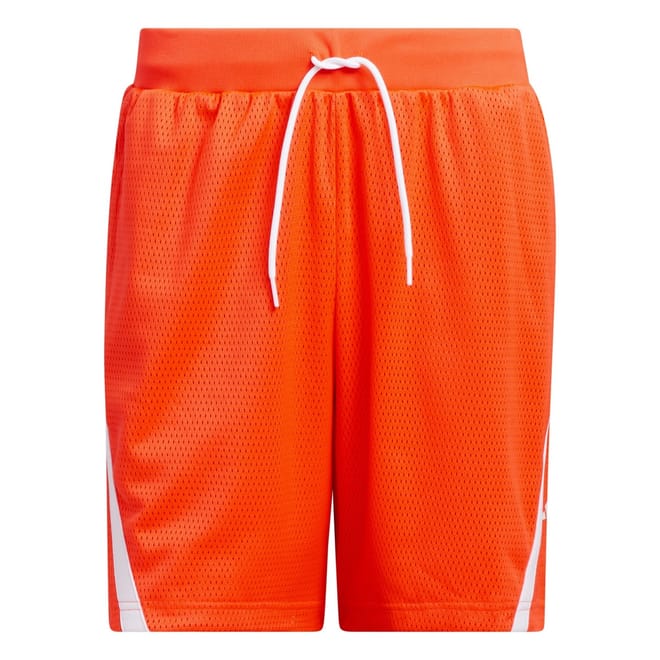 Mens Select Mesh Shorts