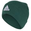 Logo Beanie Adults
