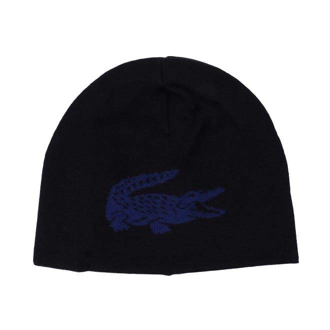 Big Logo Beanie