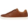 Bennet Trainers
