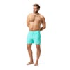Mens Essentials 16 Inch Watershorts