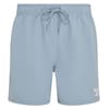 Mens Yale Swim Shorts