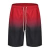Fade Swim Shorts