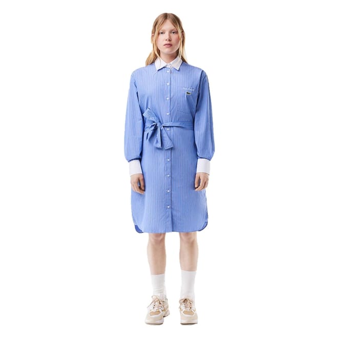 Strip Poplin Collared Neck Knee Length Dress