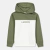 Block Hoodie