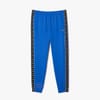Tapered Leg Sweatpants