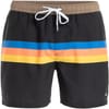 Ed Stripe Patterned Swim Short