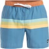 Ed Stripe Patterned Swim Short
