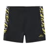 Pl Boxer Junior Boys