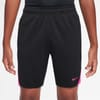 Strike24 Big Kids Dri Fit Shorts