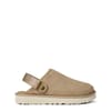 Coast Clogs
