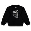 Large Genie Crew Neck Regular Fit Sweater