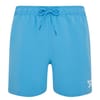 Mens Yale Swim Shorts