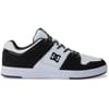Cure Low Top Lace-Up Skate Shoes