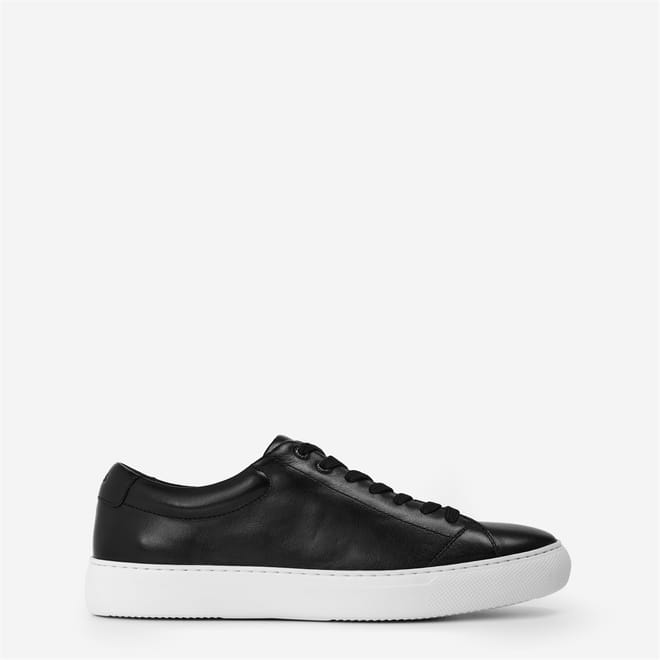 Enlight Trainers