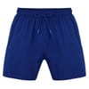 Eagle Regular Fit Swimming Shorts