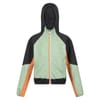 Prenton Hooded Softshell Jacket