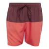 Colorblock Clx Swim Shorts Short Length