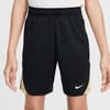 Strike24 Big Kids Dri Fit Shorts