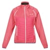 Solid Patterned Softshell Jacket