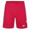 Goal Keeper Shorts