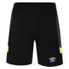Juniors Goal Keeper Shorts