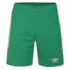 Juniors Goal Keeper Shorts