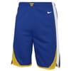 NBA Basketball Shorts