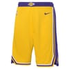 NBA Basketball Swingman Shorts