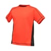 Beijing Regular Fit Short Sleeve T-Shirt