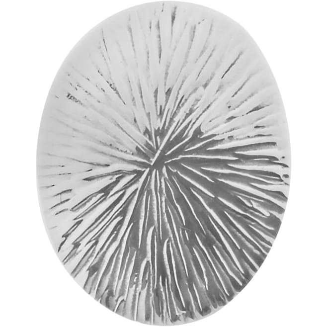 Shell Stud Erng