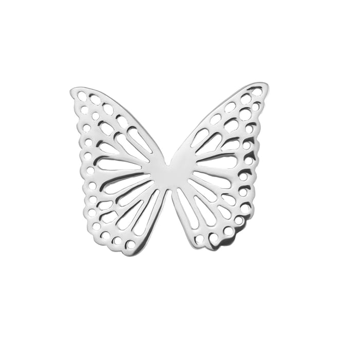 Butterfly Erng
