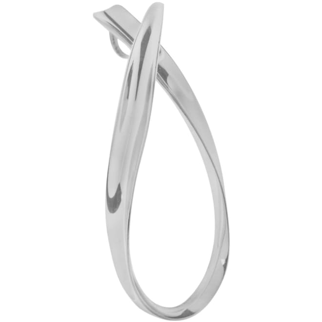 Looped Ribbon
