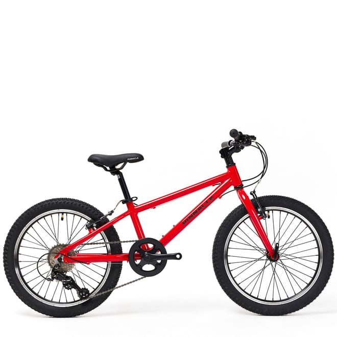 Ash 20 Inch Kids Bike