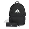 Classic Laptop Backpack with Mesh Pocket