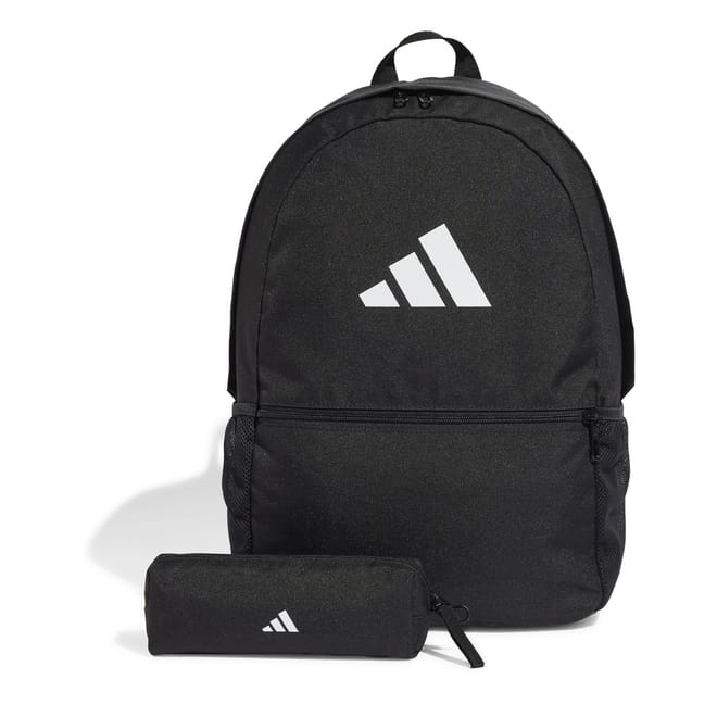 Classic Laptop Backpack with Mesh Pocket