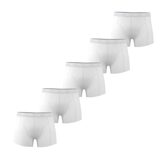 Mens Essential 5 Pack Trunks