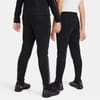 Acad Ww Pant Jn54