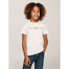 T-Shirt Juniors