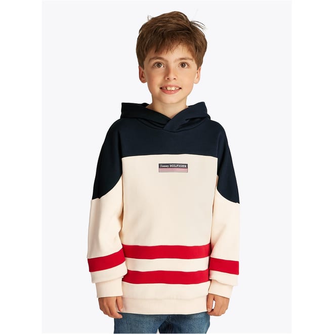 Regular Fit Striped Hooded Sweatshirt