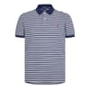 Mesh Polo Shirt