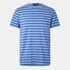 Striped Regular Fit Crew Neck T-Shirt