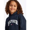 Varsity Regular Fit Hooded Sweatshirt