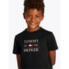 Flag Hilfiger Reg Tee ss