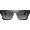 RB2217M Square Full Rim Sunglasses