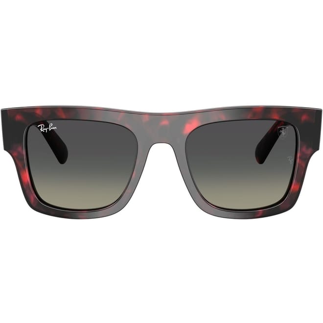 RB2217M Square Full Rim Sunglasses