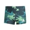 Td Boxer